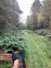 IMG_7846.jpeg IMG_7846.jpeg