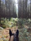 IMG_8038.jpeg