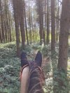 IMG_8040.jpeg