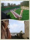 collage-1702225923606.jpg