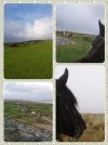 collage-1702406012652.jpg