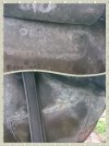 collage-1702742347244.jpg