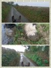 collage-1703611159660.jpg