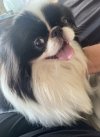 IMG_3604.jpeg