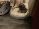 IMG_3654.jpeg