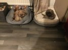 IMG_3657.jpeg