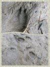 collage-1705180845269.jpg