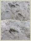 collage-1705180707634.jpg