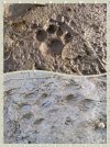 collage-1706627431332.jpg