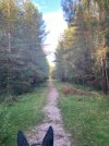 IMG_0226.jpeg