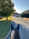 IMG_0263.jpeg