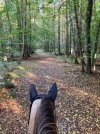 IMG_0261.jpeg