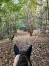 IMG_0271.jpeg