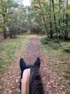 IMG_0286.jpeg