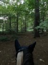 IMG_0288.jpeg