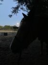 IMG_0294.jpeg