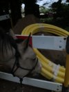 IMG_0370.jpeg