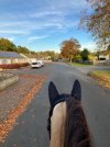 IMG_0399.jpeg