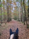 IMG_0407.jpeg