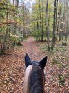 IMG_0425.jpeg