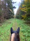 IMG_0428.jpeg