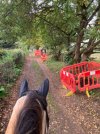 IMG_0429.jpeg