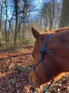 IMG_0745.jpeg