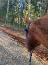 IMG_0749.jpeg