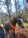 IMG_0751.jpeg