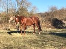 IMG_0761.jpeg