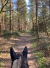 IMG_0932.jpeg