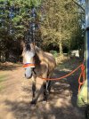 IMG_0939.jpeg