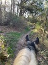 IMG_4865.jpeg IMG_4865.jpeg
