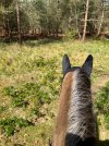 IMG_1243.jpeg