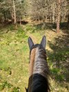 IMG_1245.jpeg