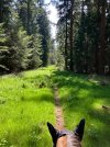 IMG_1246.jpeg