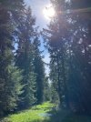 IMG_1248.jpeg