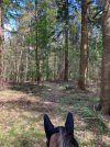 IMG_1249.jpeg