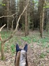IMG_1262.jpeg