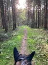 IMG_1263.jpeg