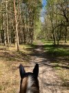 IMG_1274.jpeg