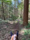 IMG_1277.jpeg