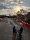 IMG_1287.jpeg