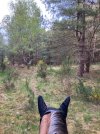 IMG_1294.jpeg