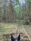 IMG_1295.jpeg