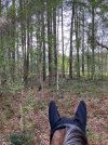 IMG_1296.jpeg