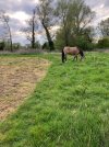 IMG_1297.jpeg