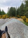 IMG_1301.jpeg