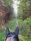 IMG_1327.jpeg