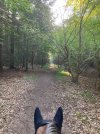IMG_1333.jpeg